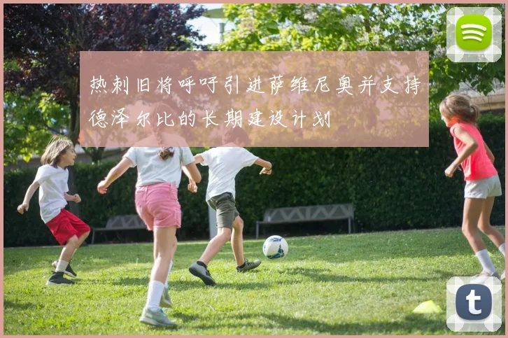 热刺旧将呼吁引进萨维尼奥并支持德泽尔比的长期建设计划