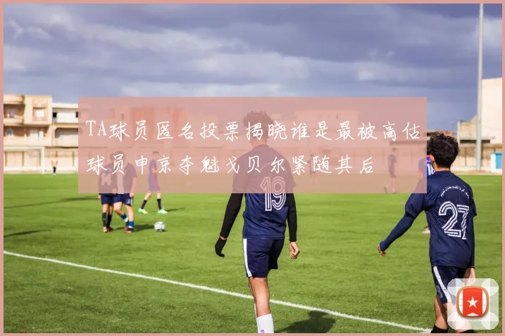 TA球员匿名投票揭晓谁是最被高估球员申京夺魁戈贝尔紧随其后