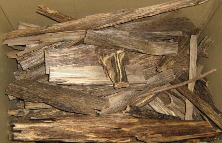 คีนัม (Kynam) – ไม้ที่หายากและแพงที่สุดในโลก